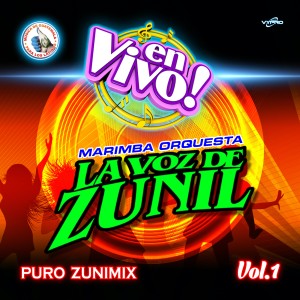 ดาวน์โหลดและฟังเพลง Zuni - Mix de Checha: Flores Pa' Mamá / Cuando un Amor Se Va / En la Cumbre (En Vivo) พร้อมเนื้อเพลงจาก Marimba Orquesta La Voz de Zunil