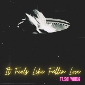 Album It Feels Like Fallin Love (Explicit) from Reizzyzz