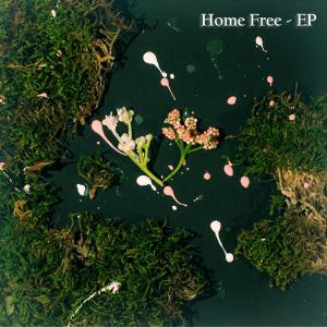 Album Home Free (EP) from Health Care