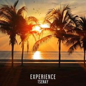 Listen to Experience (Techno) song with lyrics from Tsenay
