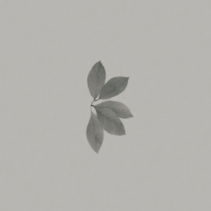 Album Caven Song from 