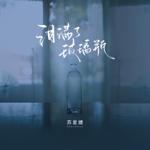 Album 泪满了玻璃瓶 from 苏星婕