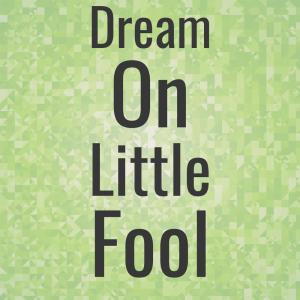 收聽Debbie Woods的Dream On Little Fool歌詞歌曲