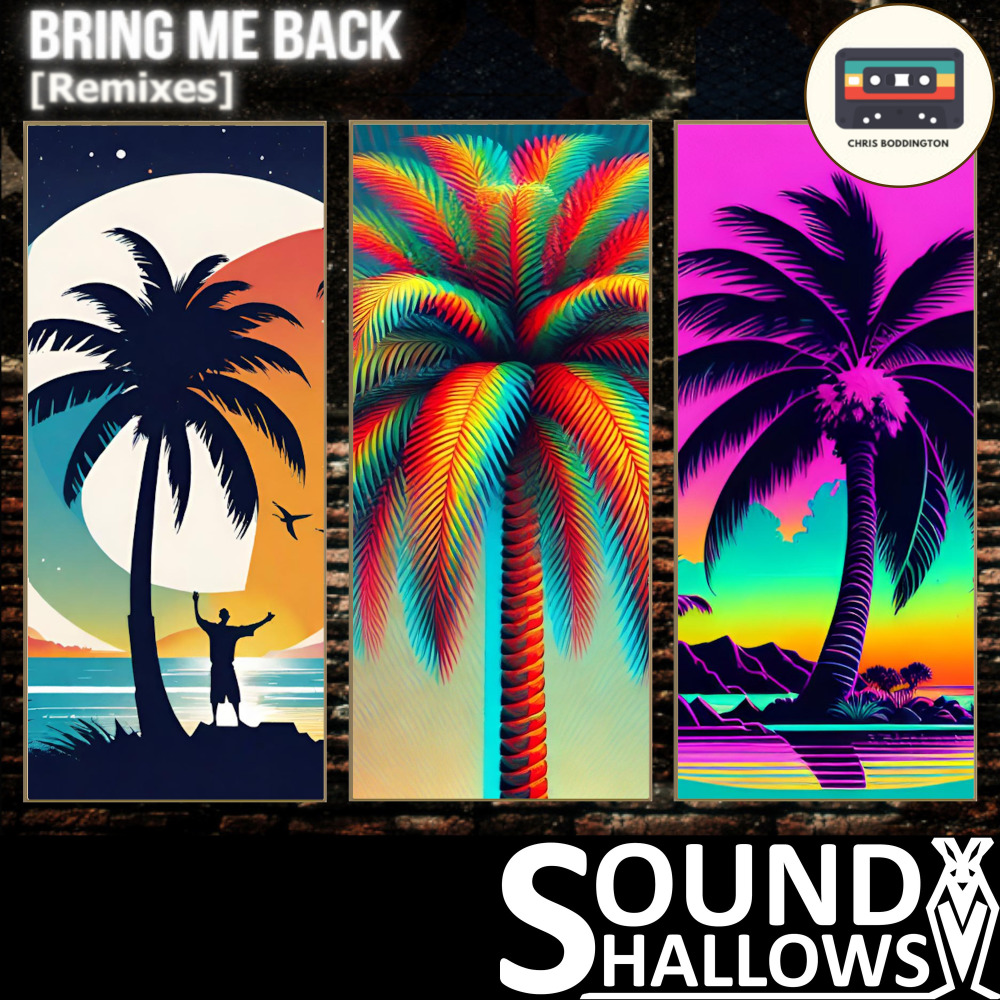 Bring Me Back (dubstep)