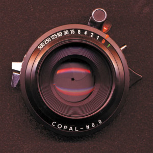 ดาวน์โหลดและฟังเพลง Photography พร้อมเนื้อเพลงจาก The Jack McCoys