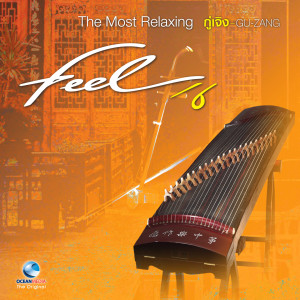 YANG PEI - XIUN的专辑Feel, Vol. 6 (The Most Relaxing "Gu - Zang")