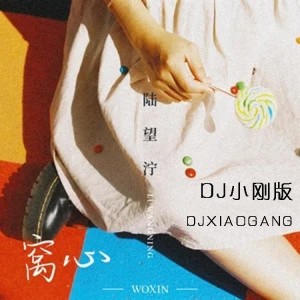 Album 窝心 (DJ小刚版) from 陆望泞