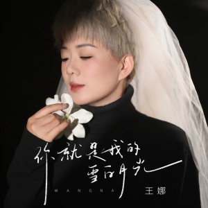 Album 你就是我的雪白月光 from 王娜
