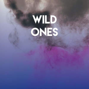 收聽Miami Beatz的Wild Ones歌詞歌曲