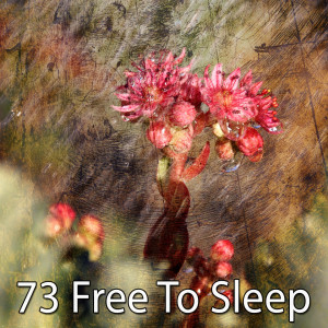 Listen to Lovely Bed Rest song with lyrics from Relaxing Music Therapy