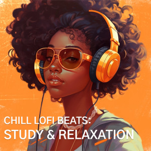 อัลบัม Chill Lofi Beats For Study & Relaxation ศิลปิน Various
