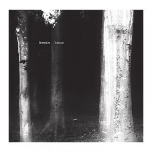 ดาวน์โหลดและฟังเพลง In the Androgynous Dark พร้อมเนื้อเพลงจาก Brambles