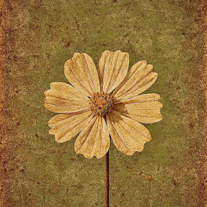 Listen to No Cuentes Conmigo song with lyrics from Perseo