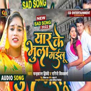 收聽Chandrakant Dwivedi的Yaar Ke Bhula Gailu歌詞歌曲
