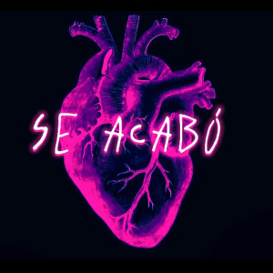 Album Se Acabó from CHAY