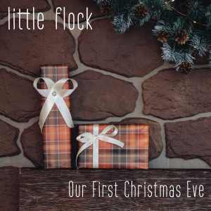 Listen to Our First Christmas Eve song with lyrics from Little Flock