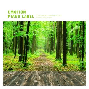Various Artists的專輯A clear-minded piano played in the forest