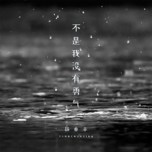 Listen to 不是我没有勇气 (伴奏) song with lyrics from 杨春幸