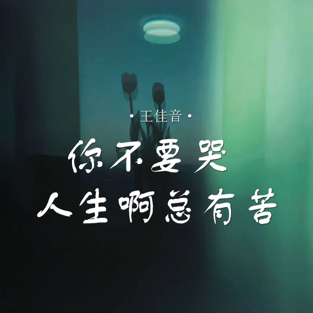 你不要哭 人生啊总有苦