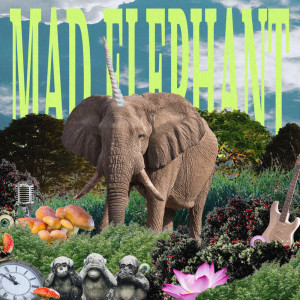 Album Spelling Bee from Mad Elephant
