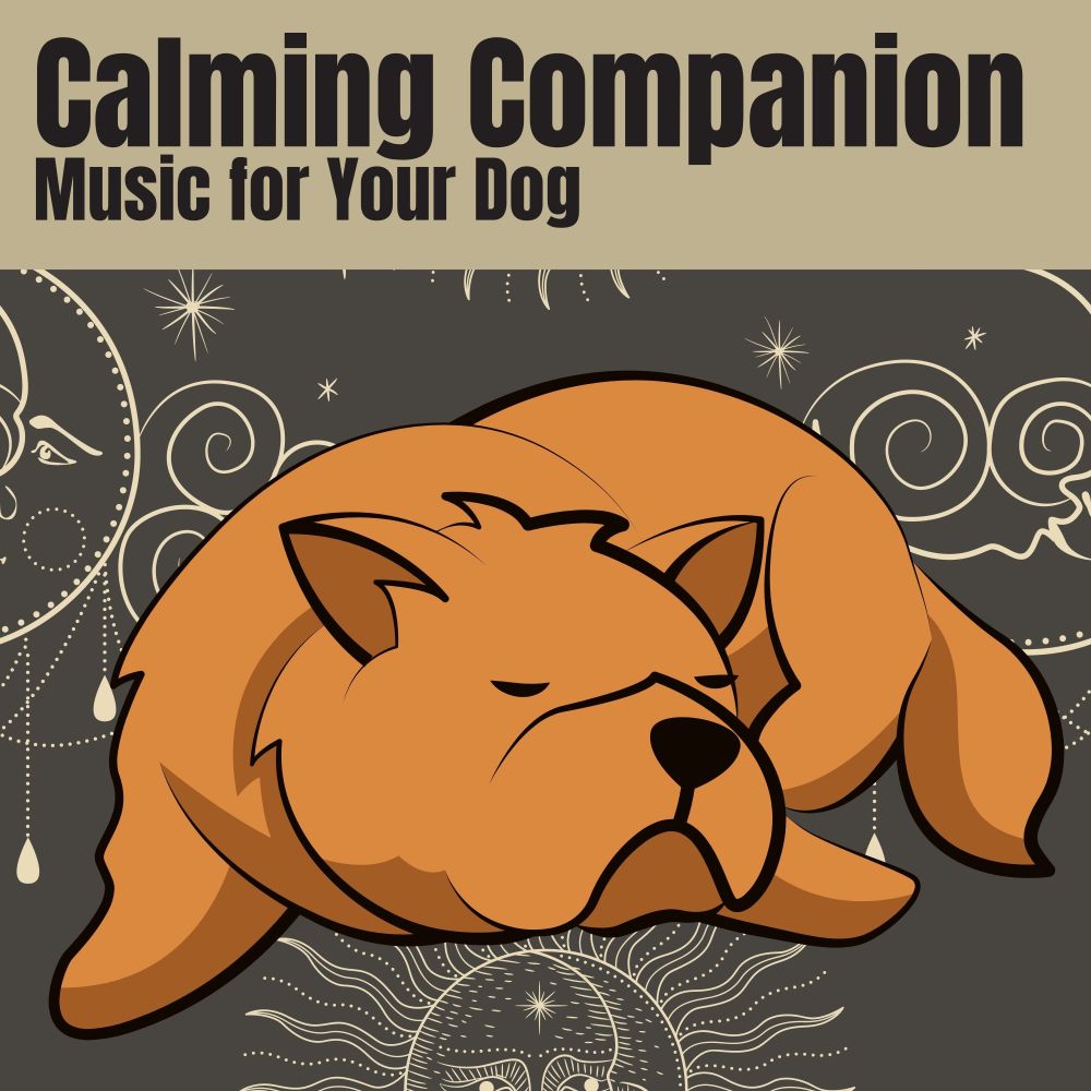 Calming Companion Music for Your Dog, Pt. 9