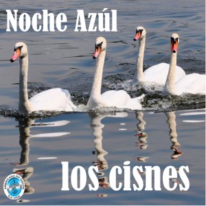 Listen to Sombras song with lyrics from Los Cisnes