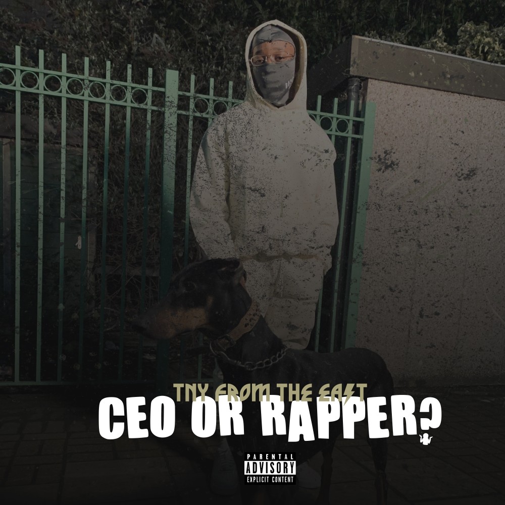 CEO or Rapper ? (Explicit)