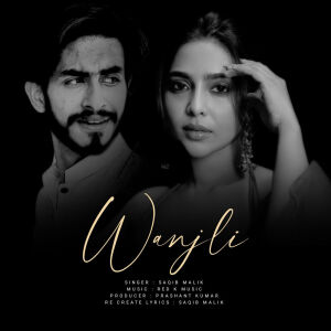 Album Wanjli from Saqib Malik