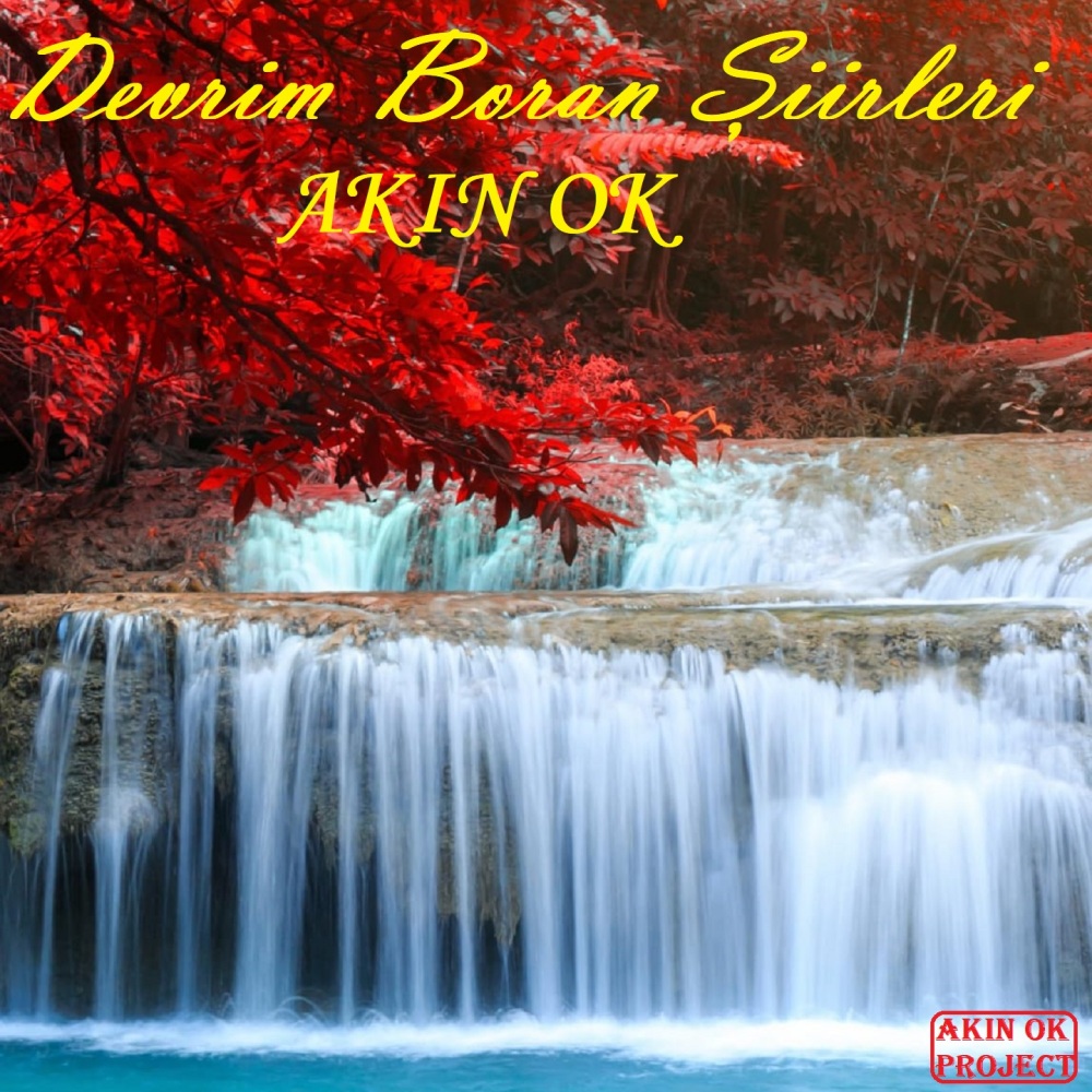 Devrim Boran Şiirleri