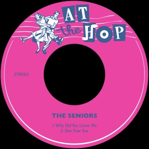 ดาวน์โหลดและฟังเพลง Why Did You Leave Me พร้อมเนื้อเพลงจาก The Seniors