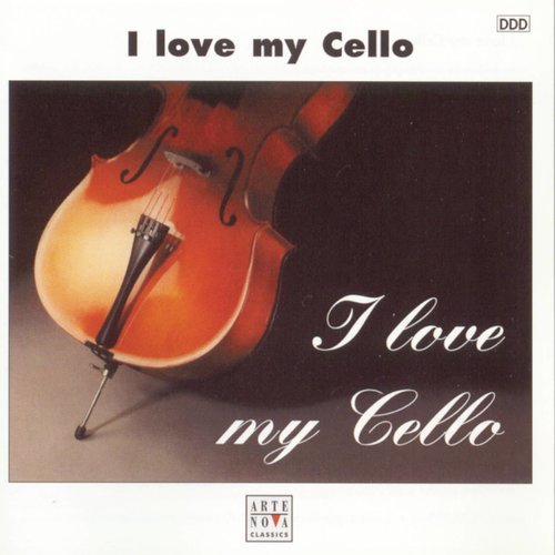 Cello Concerto in B Minor, Op. 104: III. Finale. Allegro moderato