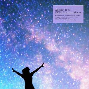 Album CCM Piano Collection For Agape Tree New Hope from Korea Various Artists