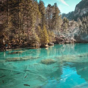 收聽Nature Sounds Nature Music的Peaceful Self歌詞歌曲