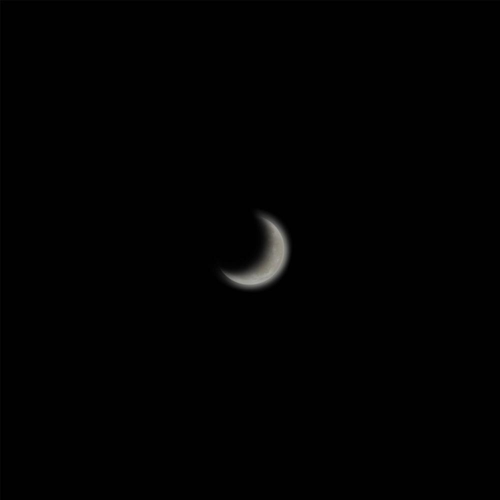 Luna de Miel