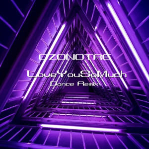 ดาวน์โหลดและฟังเพลง LoveYouSoMuch (DanceRemix) พร้อมเนื้อเพลงจาก OZONOTRE