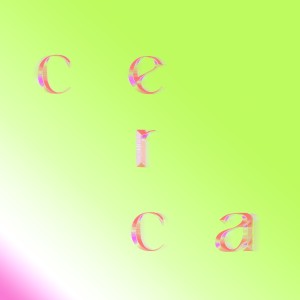 ดาวน์โหลดและฟังเพลง Cerca พร้อมเนื้อเพลงจาก Renata Di Croce