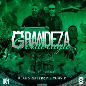 ดาวน์โหลดและฟังเพลง Grandeza Verdolaga พร้อมเนื้อเพลงจาก Flako Gallego
