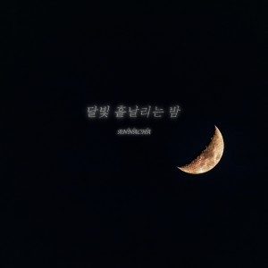 Listen to 달빛 흩날리는 밤 (Moonlight Night) song with lyrics from 안나샤