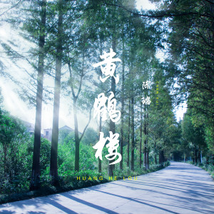 Listen to 黄鹤楼 (伴奏) song with lyrics from 陈瑞