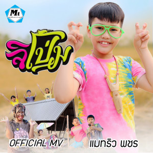 ดาวน์โหลดและฟังเพลง จิโป่ม พร้อมเนื้อเพลงจาก แมทธิว พชร