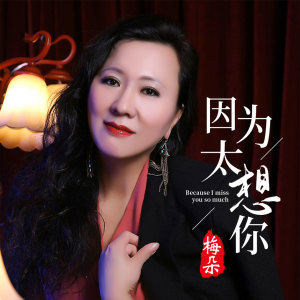 收听梅朵的因为太想你 (伴奏)歌词歌曲