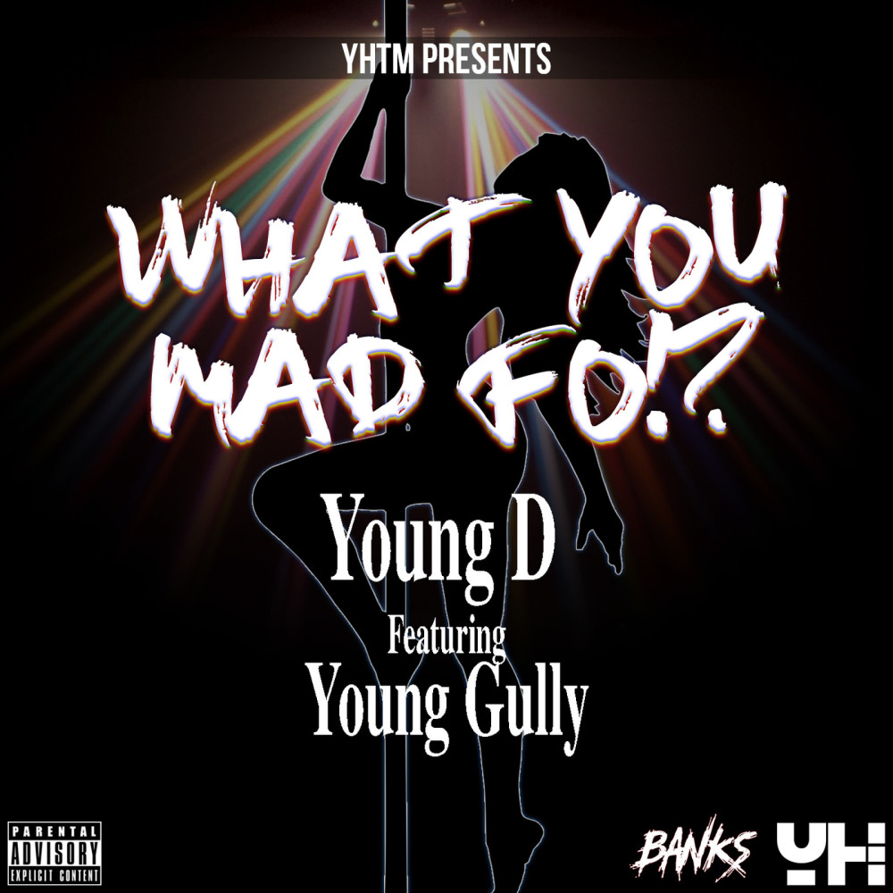 What You Mad fo (feat. Young Gully) (Explicit)