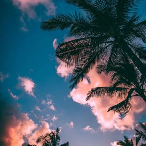 Listen to Summer In Paris song with lyrics from AM3Y
