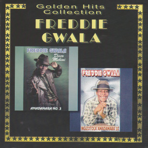 Dengarkan lagu Daina Ross nyanyian Freddie Gwala dengan lirik