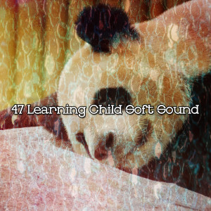 White Noise For Baby Sleep的專輯47 Learning Child Soft Sound