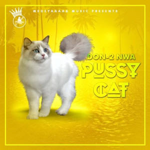 收聽Don-2 Nwa的Pussy Cat (Explicit)歌詞歌曲