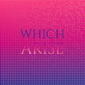 Various的专辑Which Arise