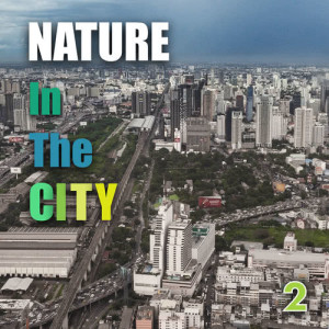Nature in the City 2 dari Ian Yu
