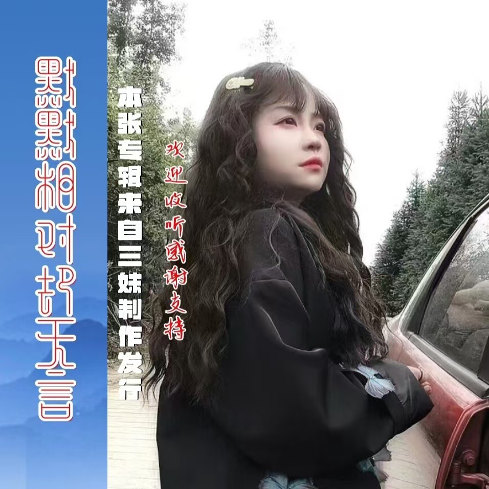默默相对却无言 (伴奏)