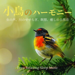 Album Deep Relaxing Sleep Music - Birds, Insects, Flowing Water & Healing Nature Sounds oleh 寝落ちする自然音ヒーリング音楽
